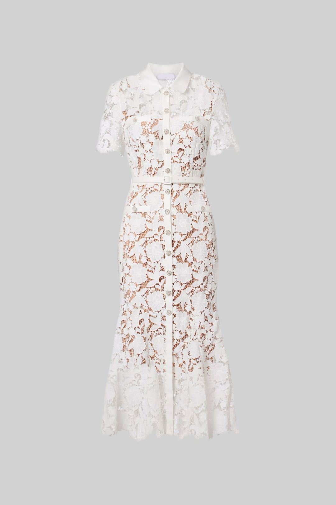 Faye | Lace Short Sleeve Belted Midi Dress