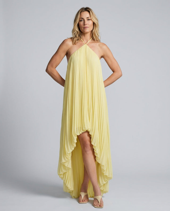 Sabine | Pleated Halter Neck Maxi Dress