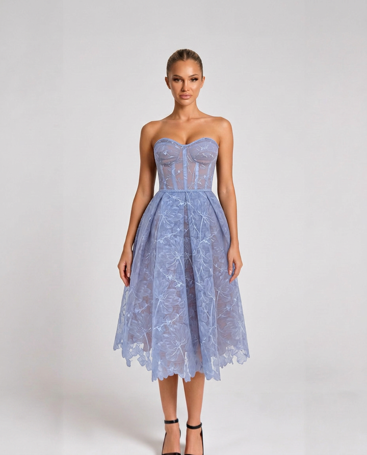 Addie | Embroidered Tulle Corset Midi Dress