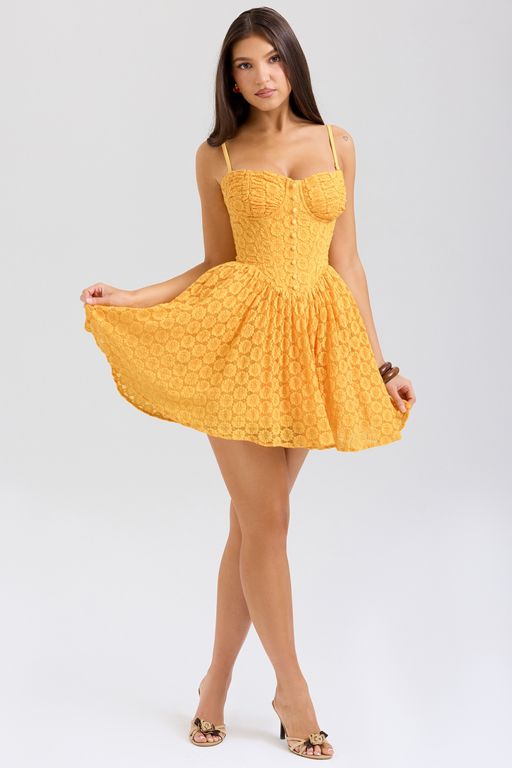 Lana | Lace Corset Mini Dress with Structured Bodice