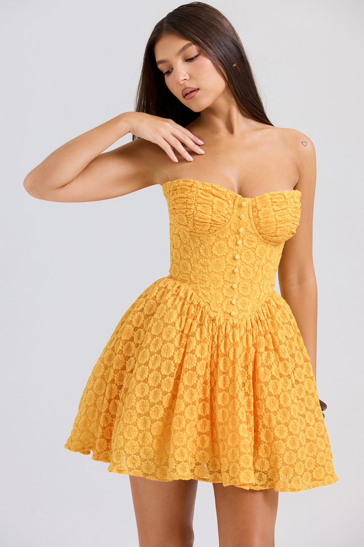 Lana | Lace Corset Mini Dress with Structured Bodice