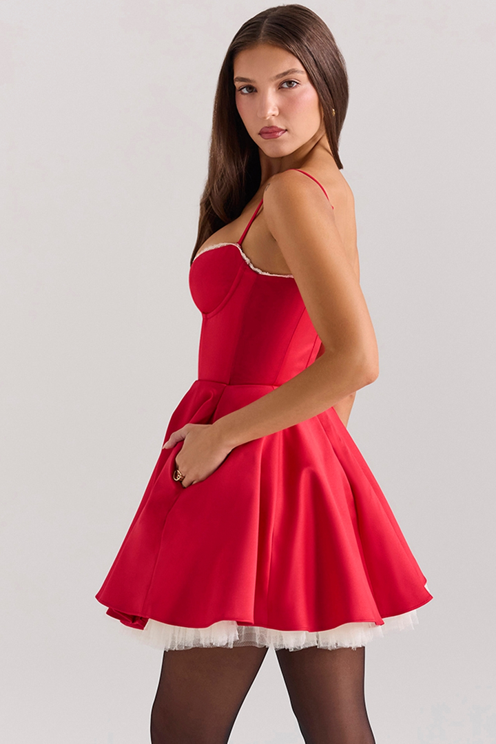 Tina | Tulle Mini Dress