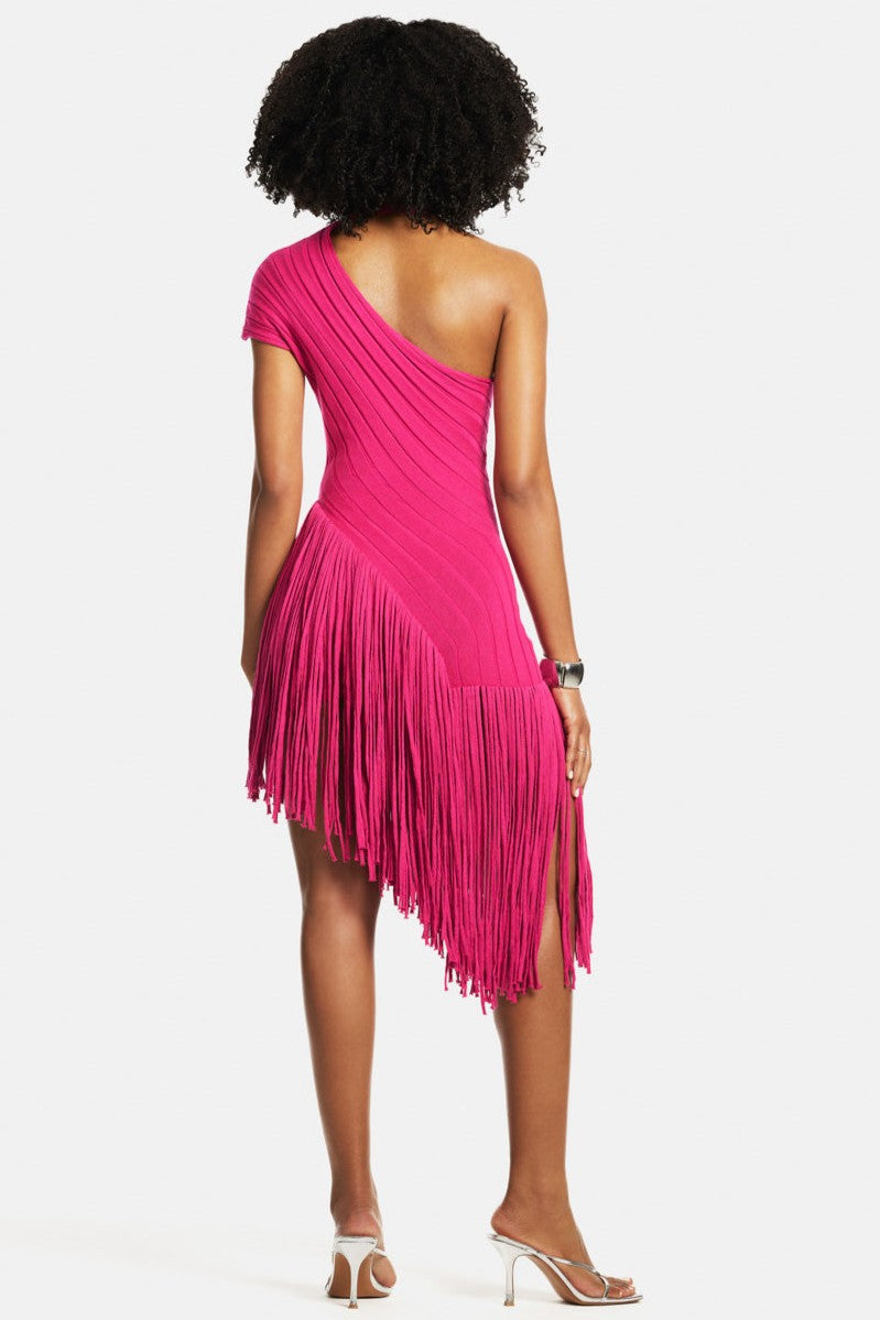 Paige | Knit Tassel Sleeveless Midi Dress