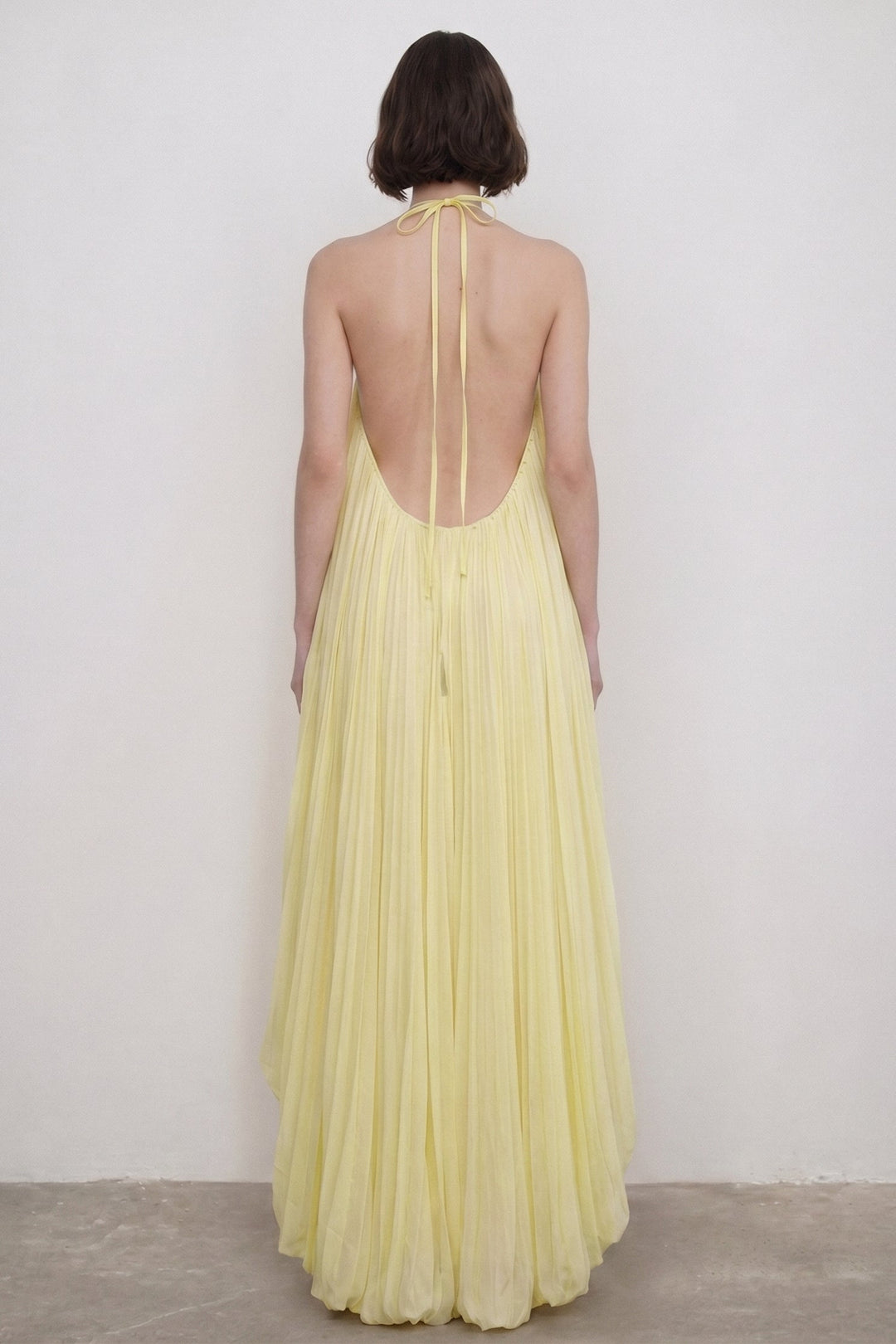 Sabine | Pleated Halter Neck Maxi Dress