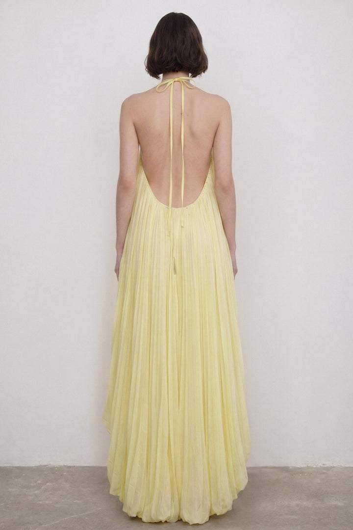 Sabine | Pleated Halter Neck Maxi Dress