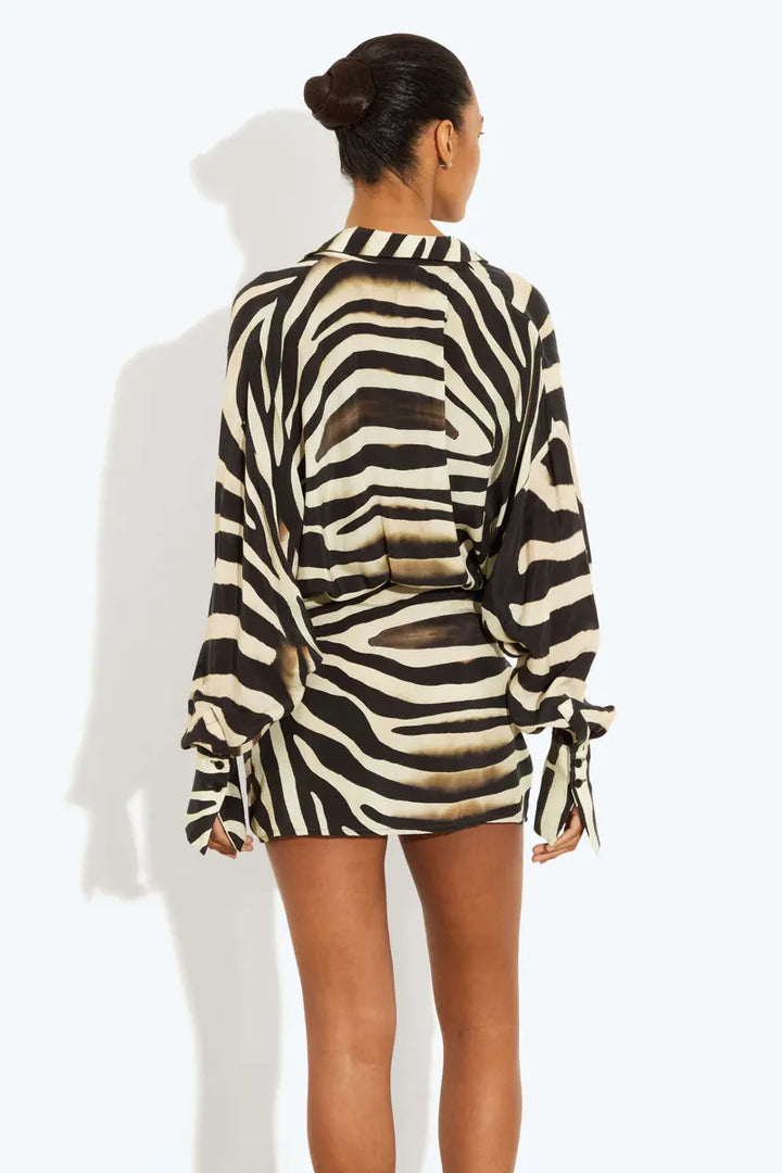 Cleona | Zebra Print Long Sleeve Mini Dress
