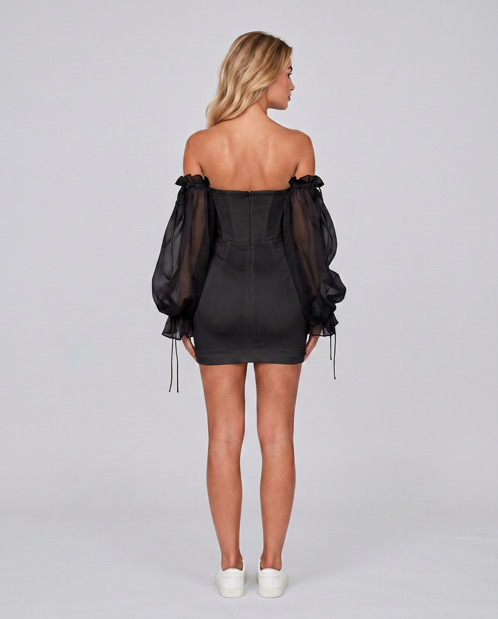 Joni | Mini Dress with Corset Bodice and Sheer Sleeves