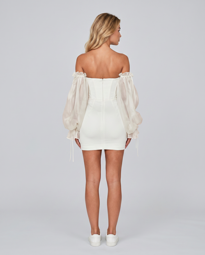 Joni | Mini Dress with Corset Bodice and Sheer Sleeves