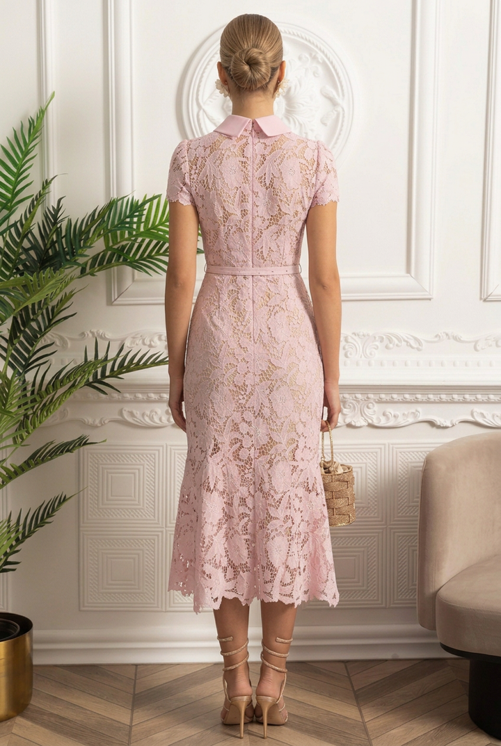 Rosalie | Floral Lace Collared Belted Midi Dress