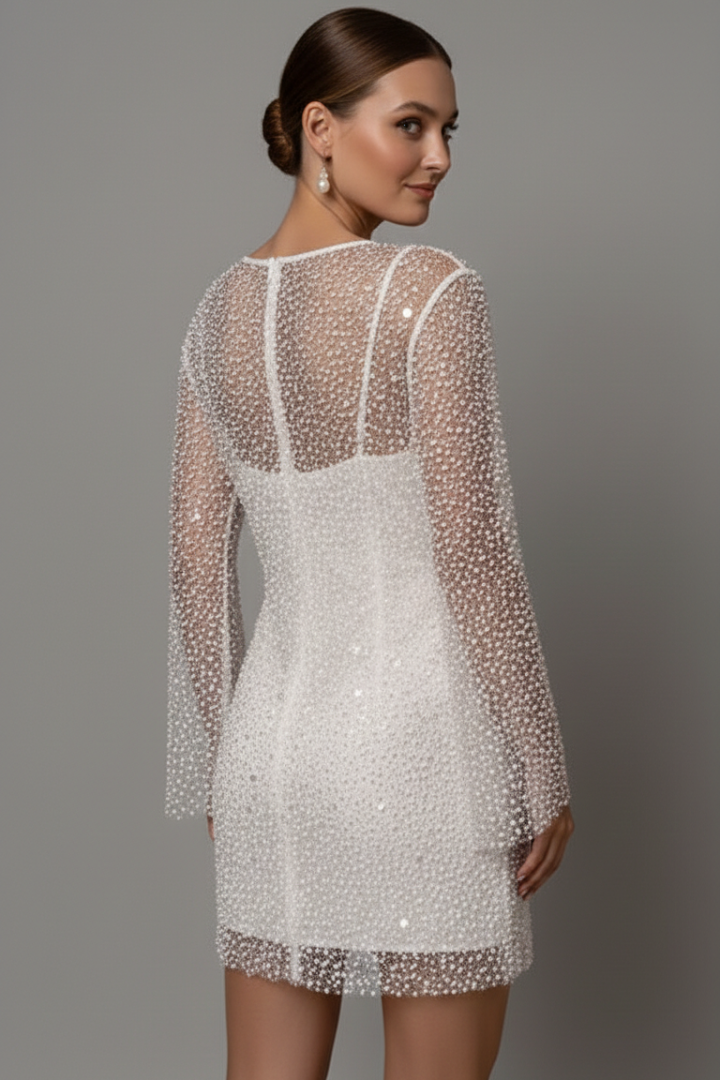Céline | Mesh Overlay Sleeveless Mini Dress
