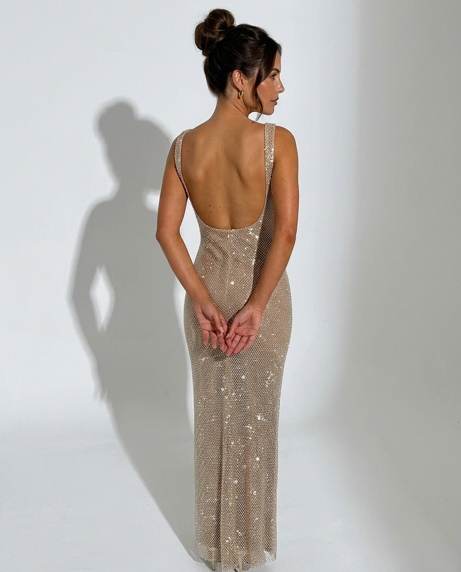 Quinn | Sequin Sleeveless Maxi Dress