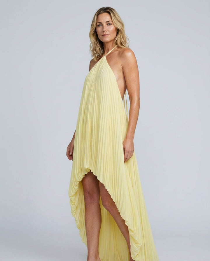 Sabine | Pleated Halter Neck Maxi Dress