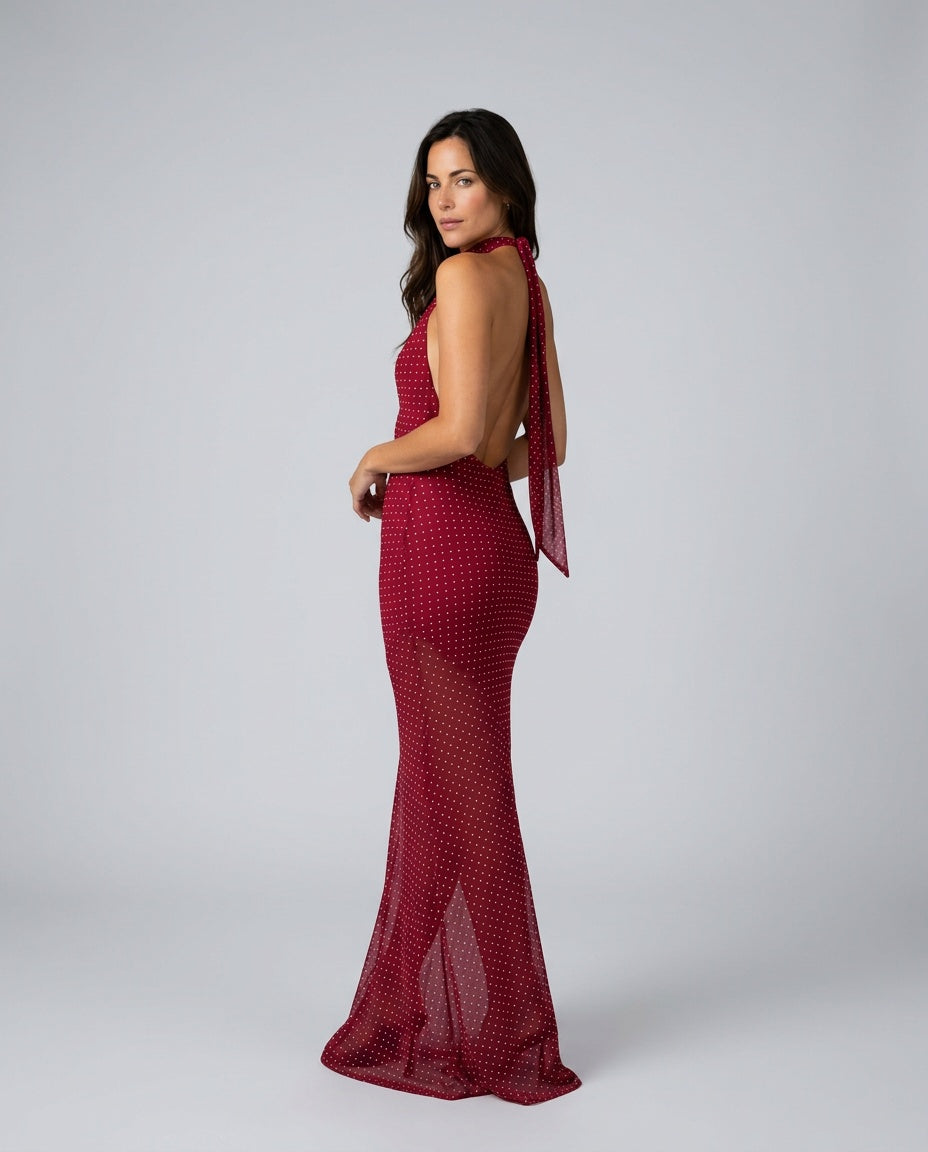 Nalaya | Halter Neck Sheer Mesh Maxi Dress