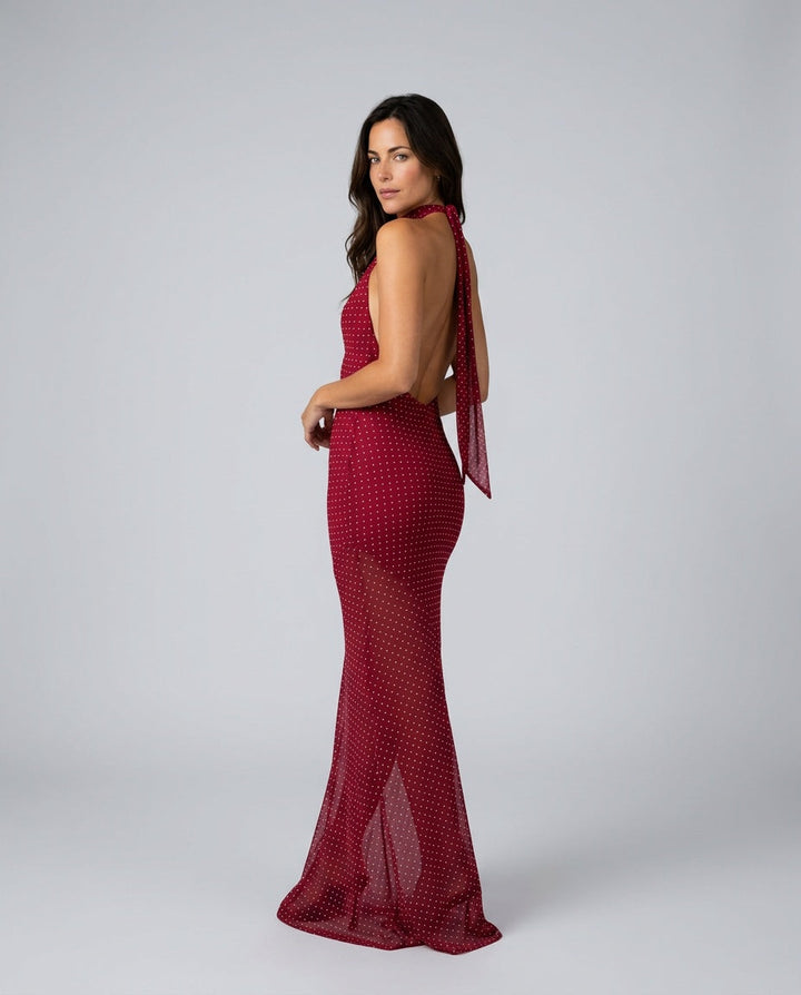 Nalaya | Halter Neck Sheer Mesh Maxi Dress
